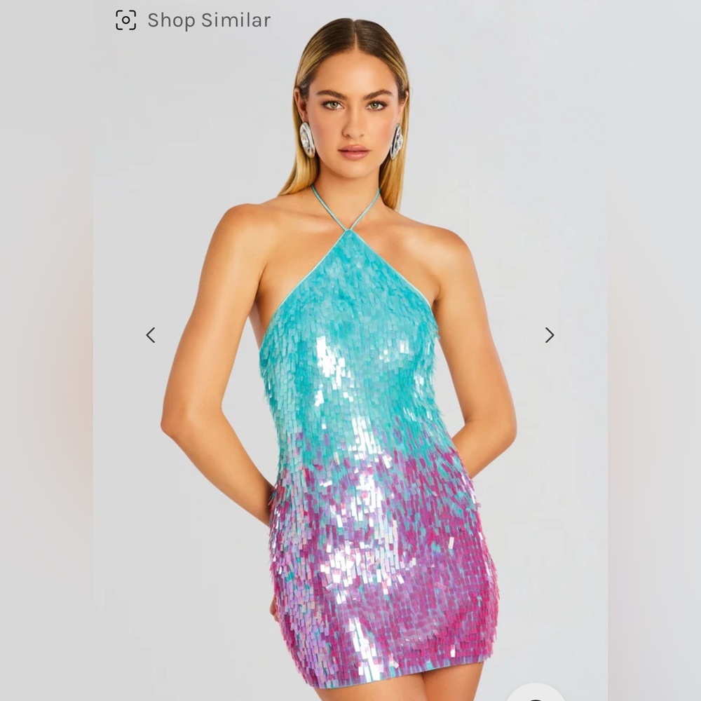 NWT Retrofete Maren dress